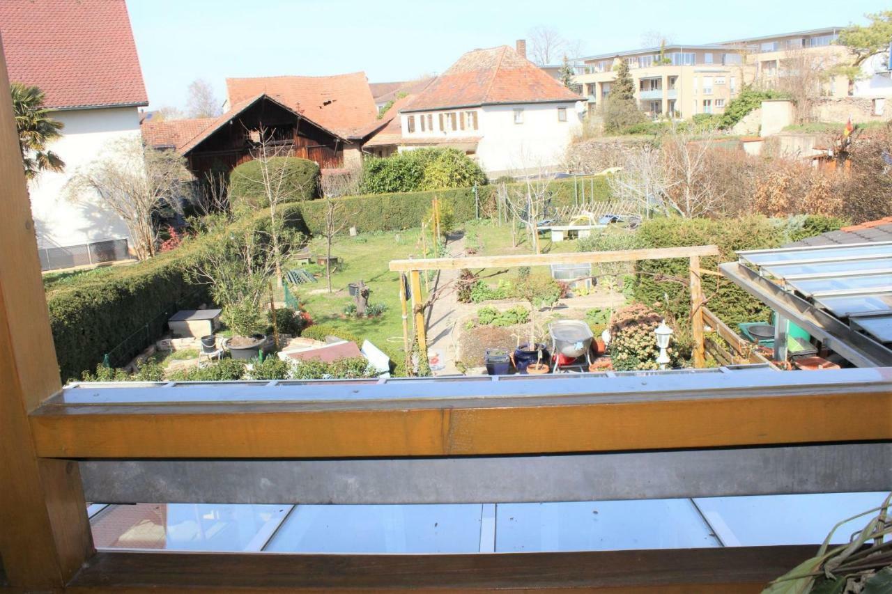 Gastehaus Thoma Apartment Breisach Ngoại thất bức ảnh